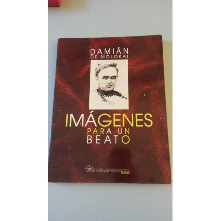 DAMIAN DE MOLOKAI. Imágenes para un beato.